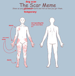 the dog scar meme