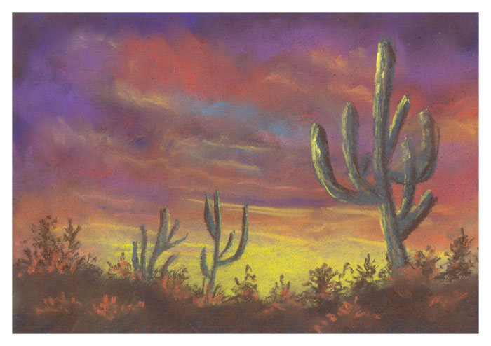 Cactuses 2