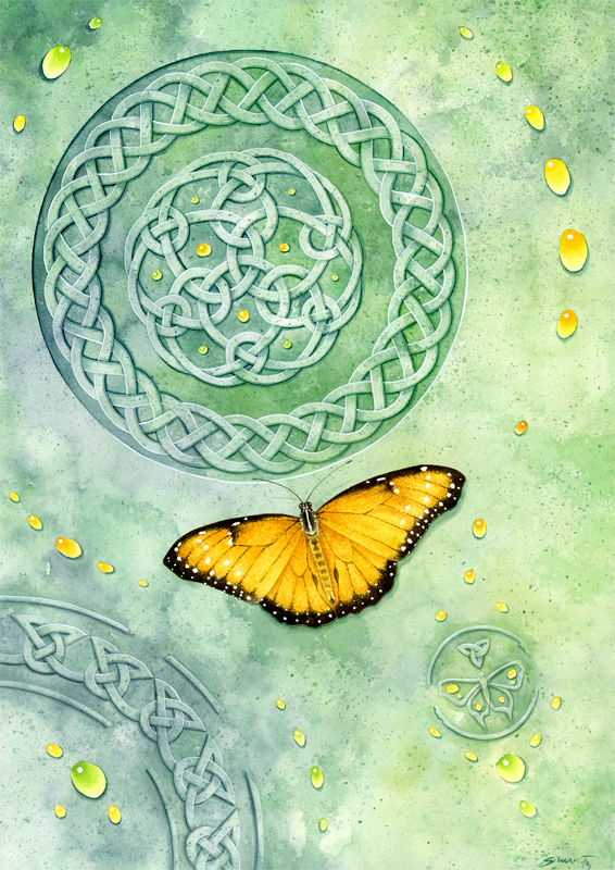 Celtic Butterfly