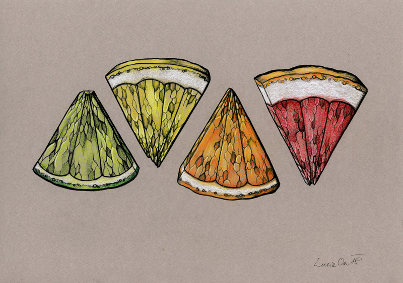 Citruses by LucieOn Citruses by LucieOn