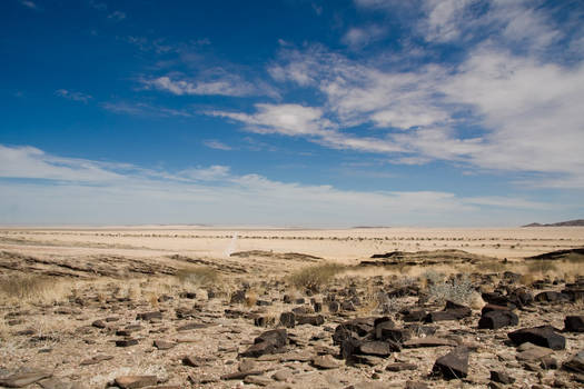 namib desert