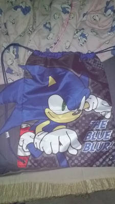 Sonic T.H Bag :3