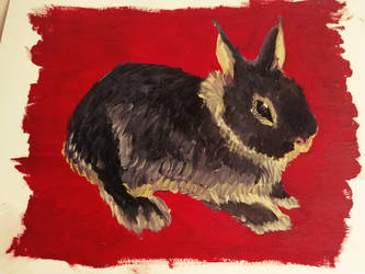 Painting of Shadow the Bunny