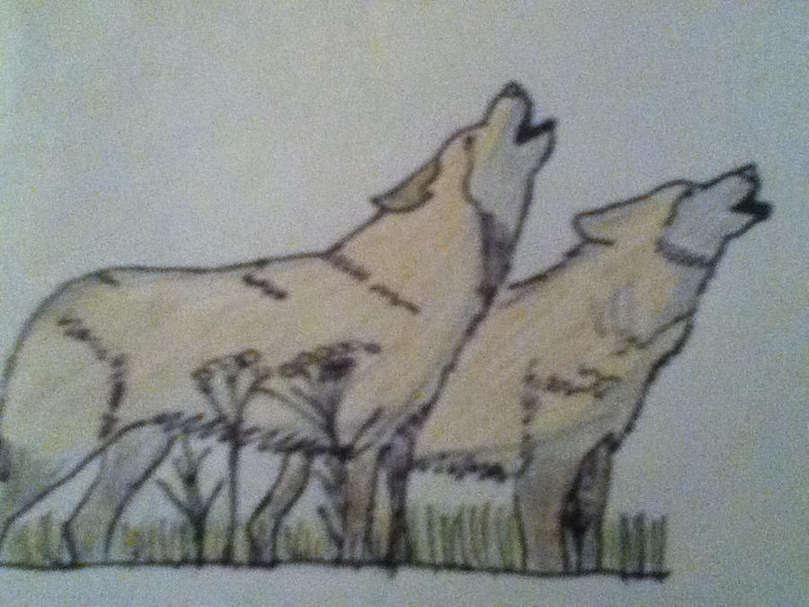 Two Wolves Scetch Two wolves i made for art by Coming-Soon1 on DeviantArt