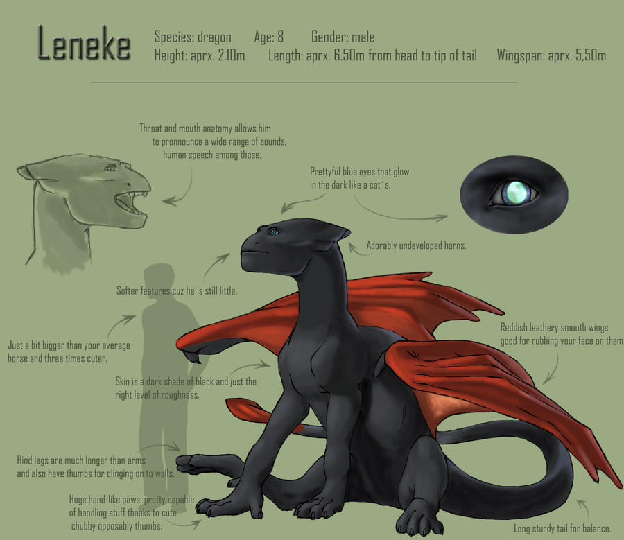 Leneke reference sheet