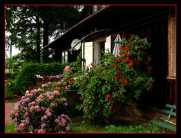 In Front Of Our Old House