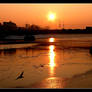 Sunset, Wisla River And Bird