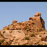 Sphinx In Morocco