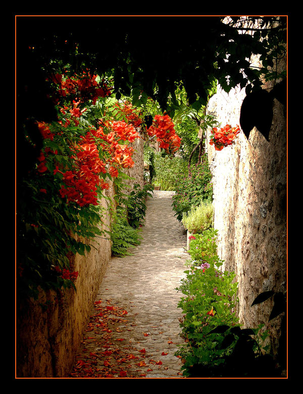 Valldemossa's Walkways - Mallorca - 1