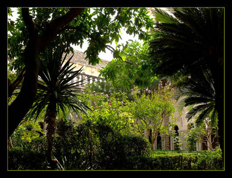 Garden Of Monastery in Dubrovnik