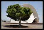Tree And Shinto Art - Santa Cruz De Tenerife by skarzynscy