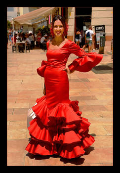 Fiesta - Red Flower From Malaga!