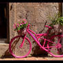 Pink Bicycle