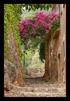 Quiet Backstreet In Fornalutx