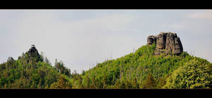 Islands Above The Sea Of Trees