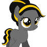 Filly Ebony Ramble