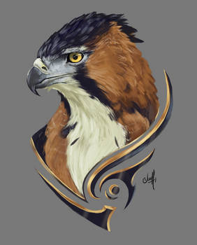 010# Ornate Hawk-Eagle