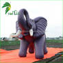 Elephant (5)