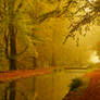 Down The Canal