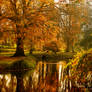 Romance Of Autumn