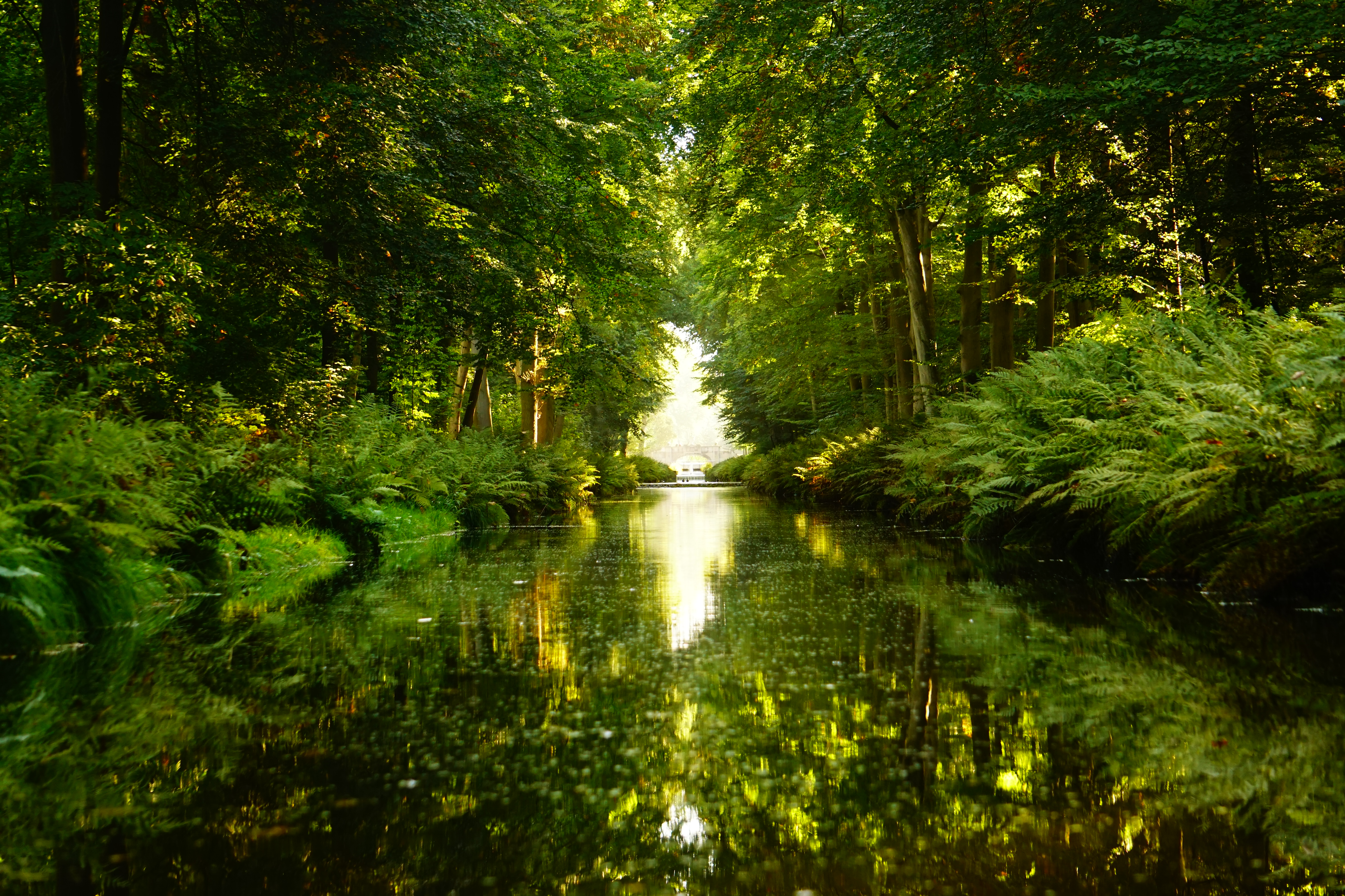 Down The Canal October 2021