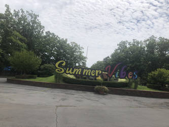 Summer Vibes Sign