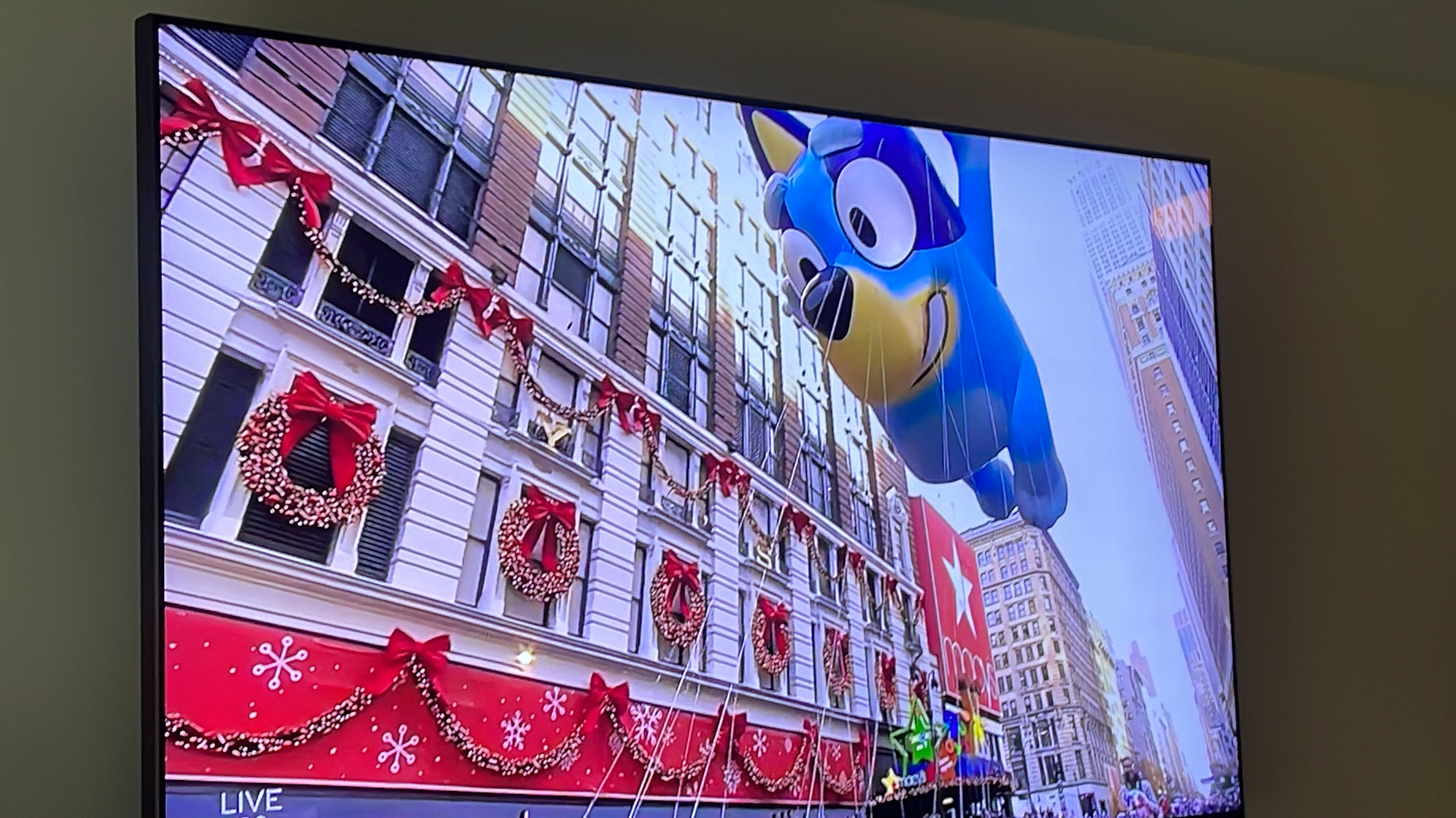 Bluey Balloon by AmaniTheLion on DeviantArt