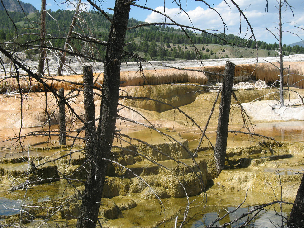 Hot spring art by Magicofwolf on DeviantArt