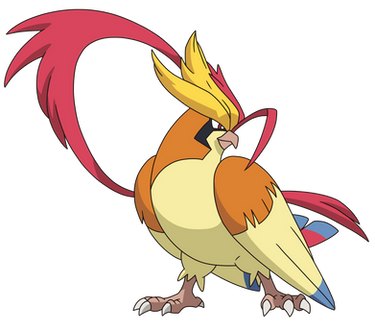 018-Mega Pidgeot