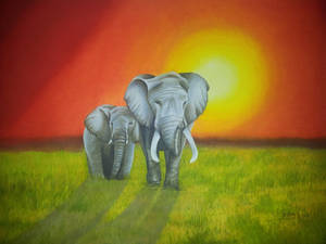 Elephants