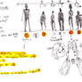 concept dibjantes