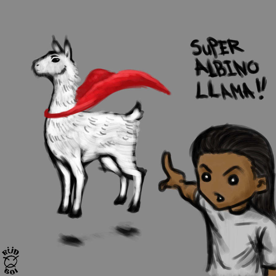 Super Albino Llama