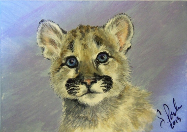 ACEO Cougar Kitten