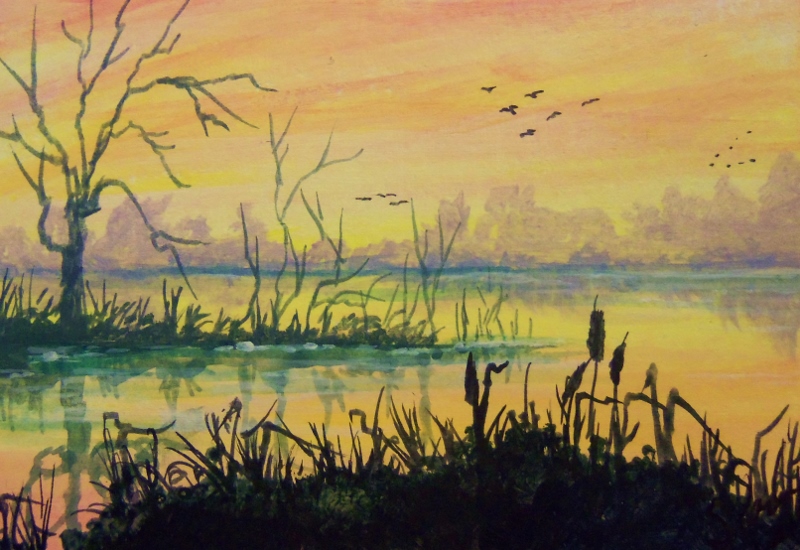 ACEO Duck Marsh