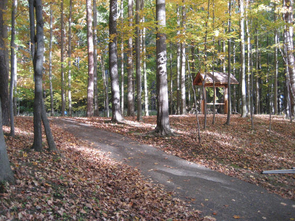 Autumn Path