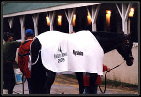 Alysheba