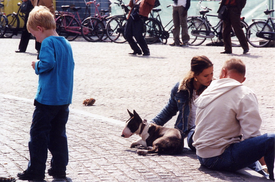 People and Trash