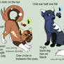 2 Cat Adoptable (OPEN ONE LEFT)