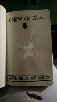 Wreck This Journal! 1