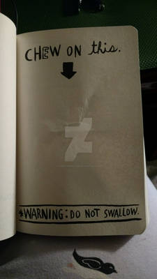 Wreck This Journal! 1