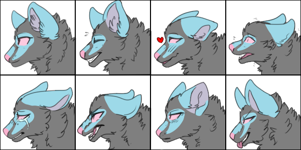 Expressions