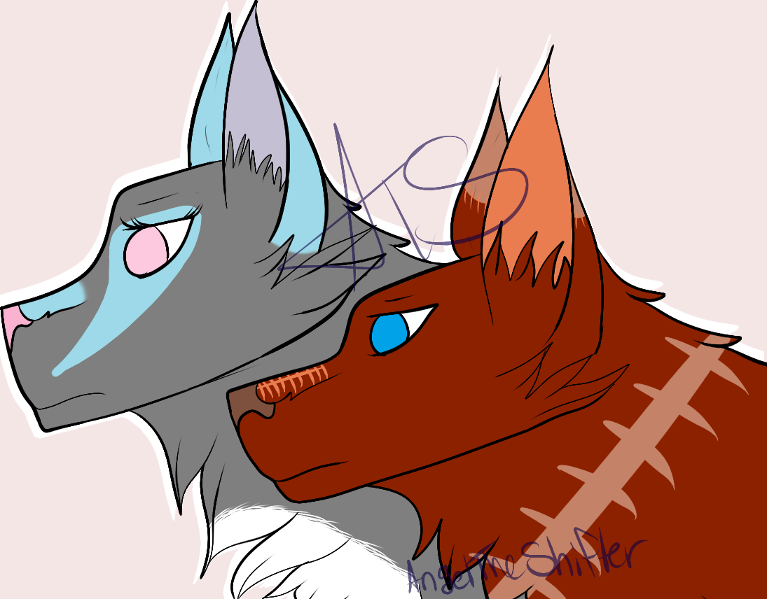 Together