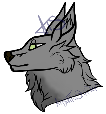 Random Canine Headshot