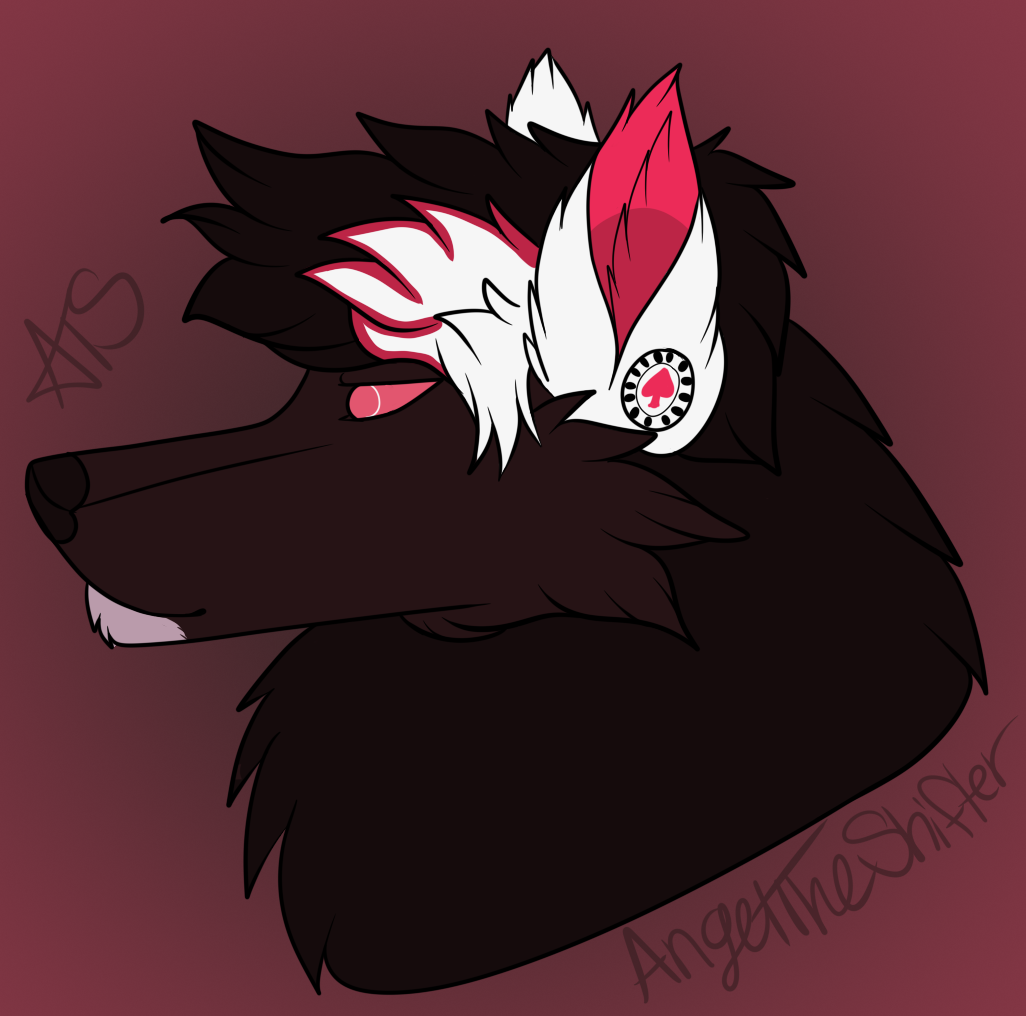 Gift for Wattson