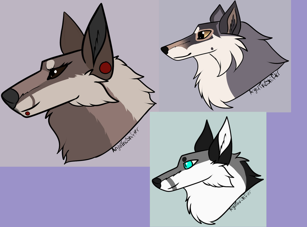 Headshots for users as Chats