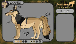 Merlin - Semer of Telcoyu - DotW