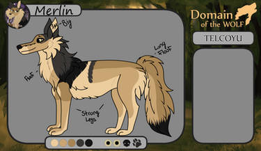 Merlin - Semer of Telcoyu - DotW