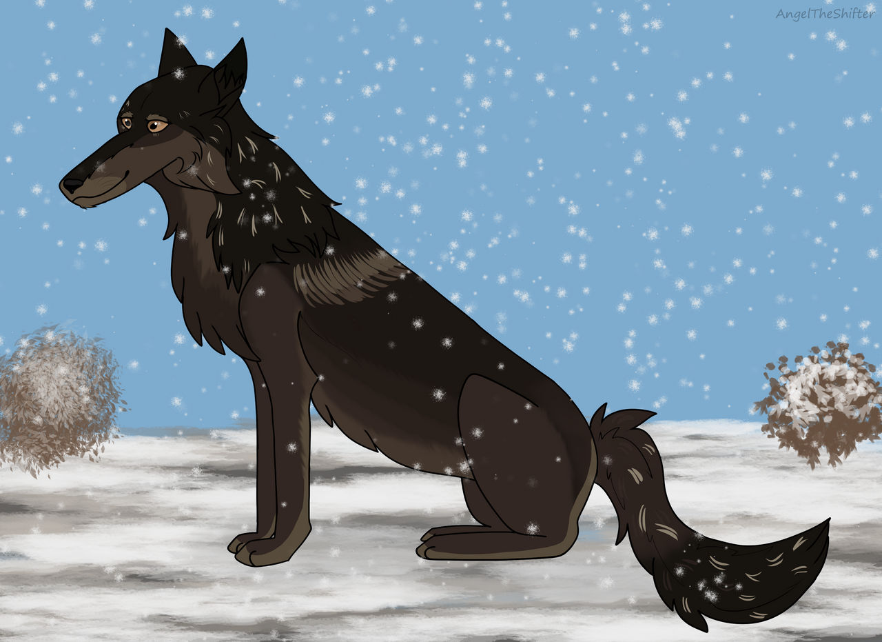 Snowflakes in the Wind -DotW SS-
