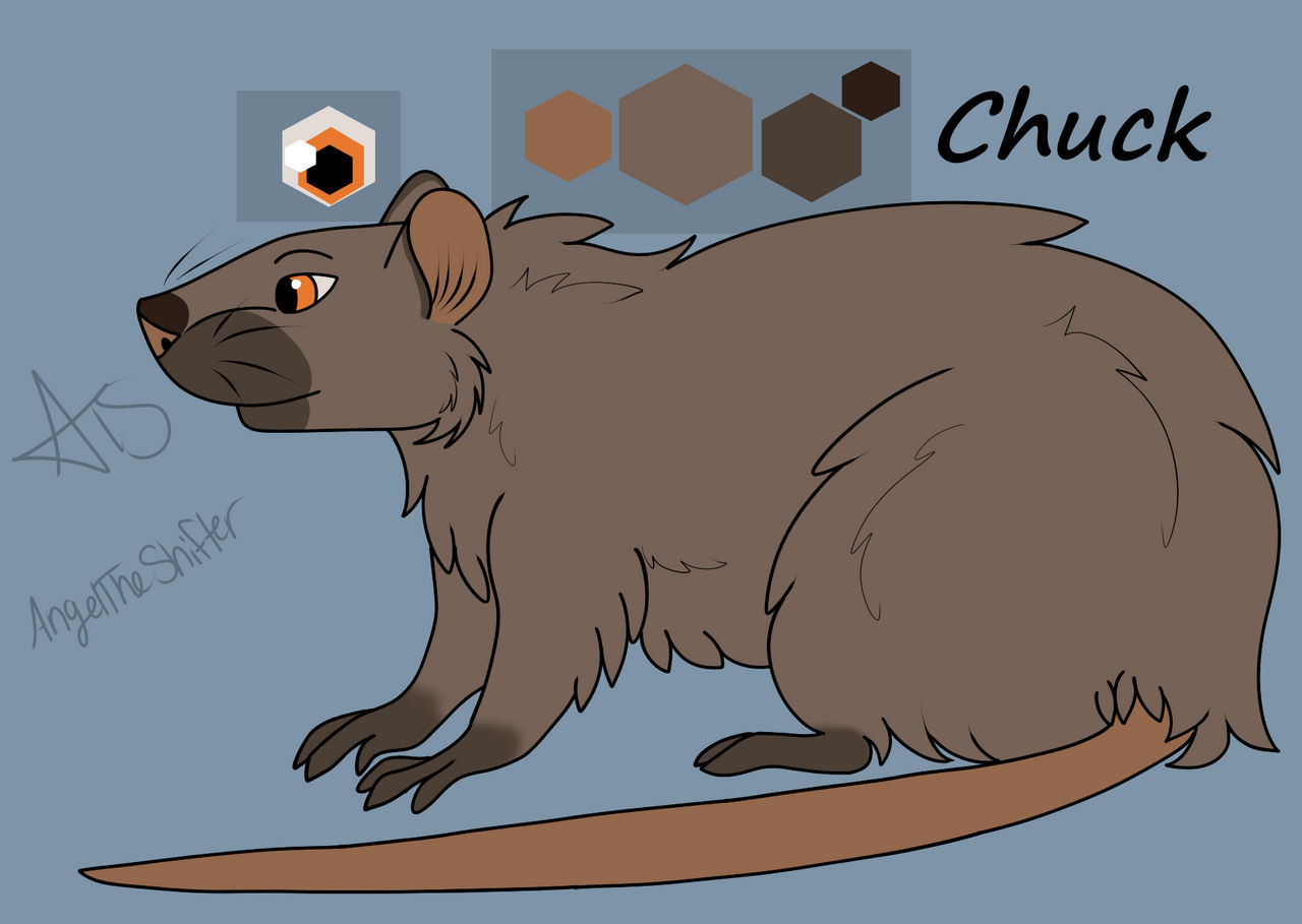 Chuck Ref Sheet