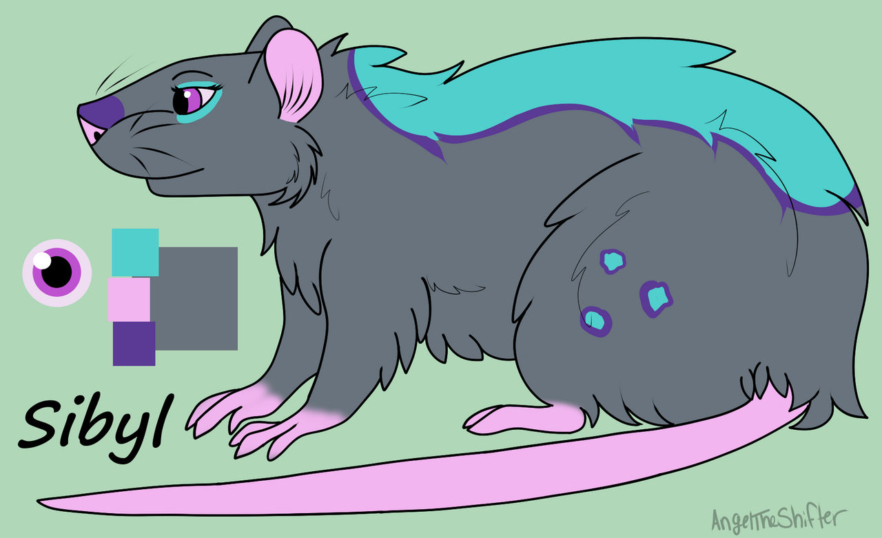 Sibyl - Rat - Gift